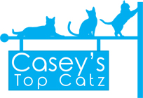 Casey's Top Catz Logo